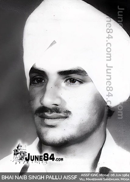 Bhai Naib Singh Pallu AISSF