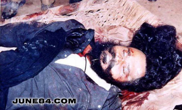 Baba Manochahal Shaheedi Saroop (4)