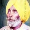 Bapu Shamsher Singh Aloarkh aka Bapu Chandigarhia